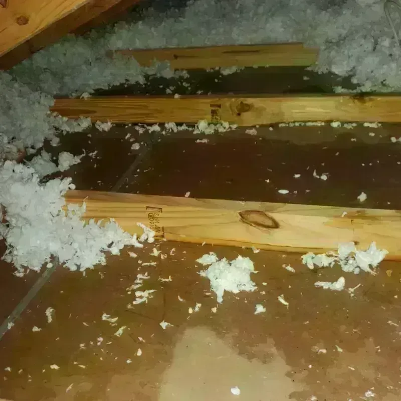 Attic Water Damage in Big Rapids, MI