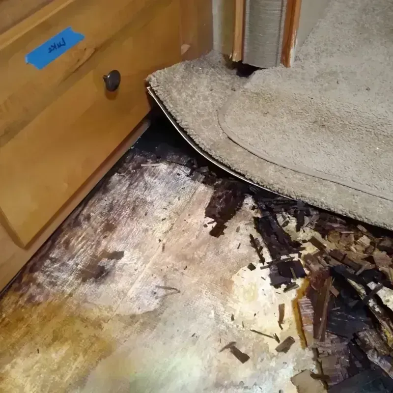 Wood Floor Water Damage in Big Rapids, MI